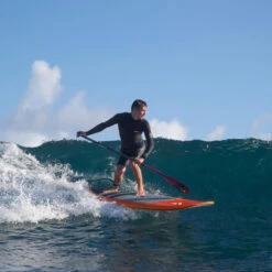 PAGAIE FANATIC CARBON 80 FIXE -Surf f2 03 12 2019 10 04 13